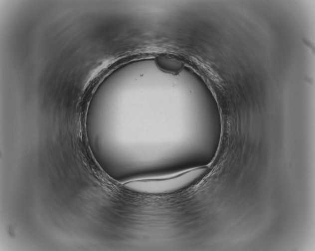 X0000094771262200712071125