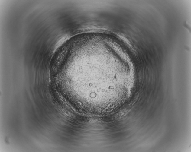 X0000094771267200712071125