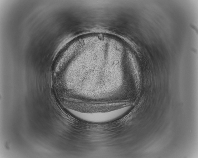 X0000094771271200712071125