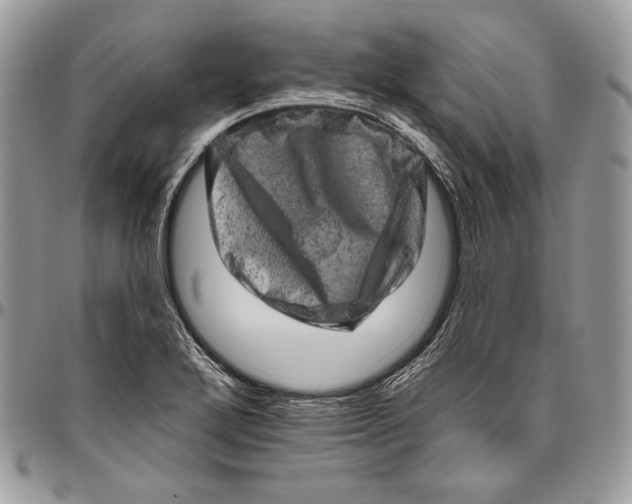 X0000094771272200712071125