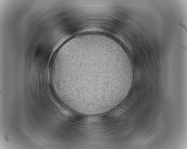 X0000094771274200712071125