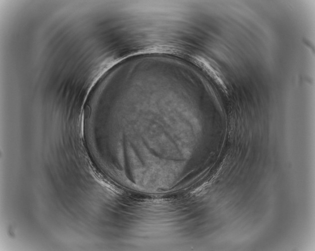 X0000094771276200712071125