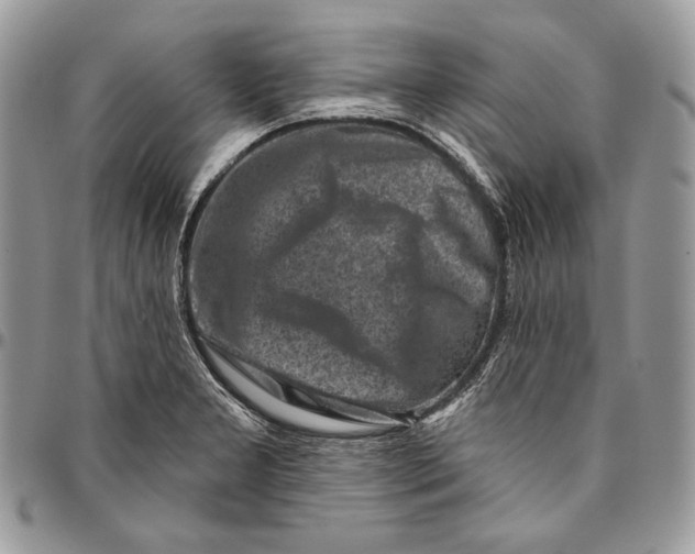 X0000094771277200712071125