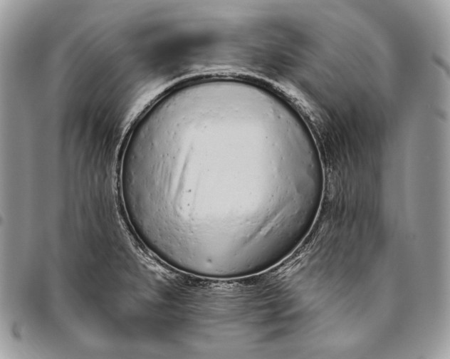 X0000094771279200712071125