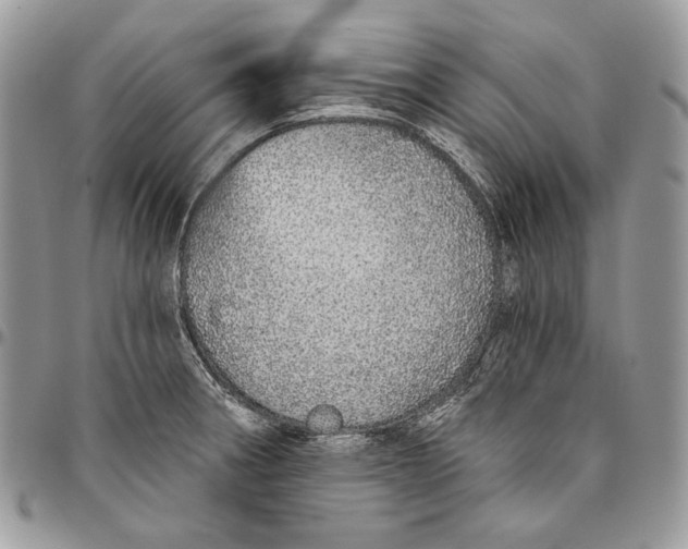 X0000094771282200712071125