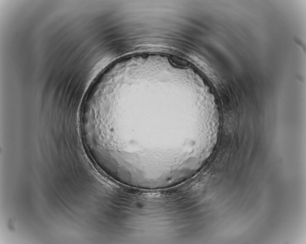 X0000094771283200712071125