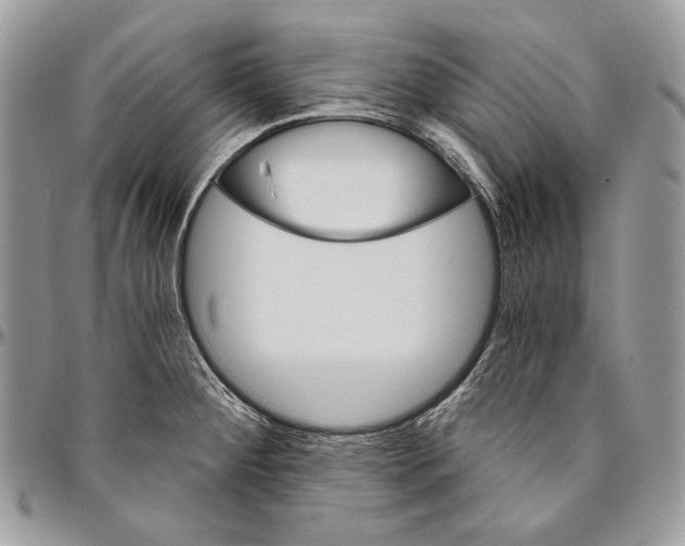 X0000094771284200712071125