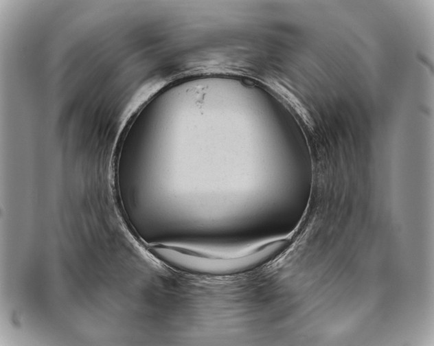 X0000094771285200712071125