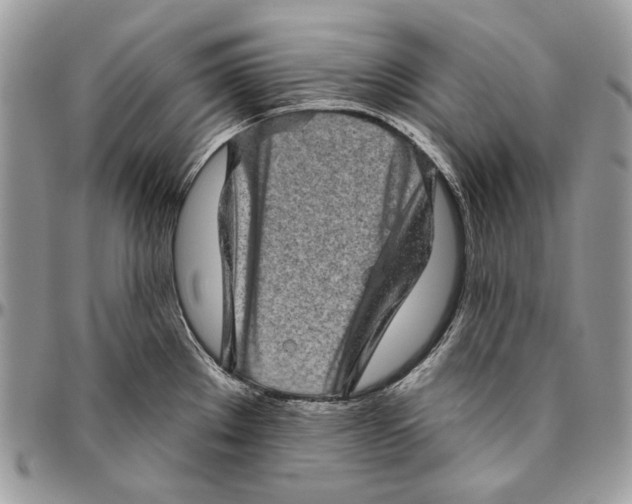 X0000094771289200712071125