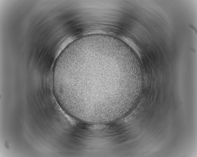 X0000094771290200712071125