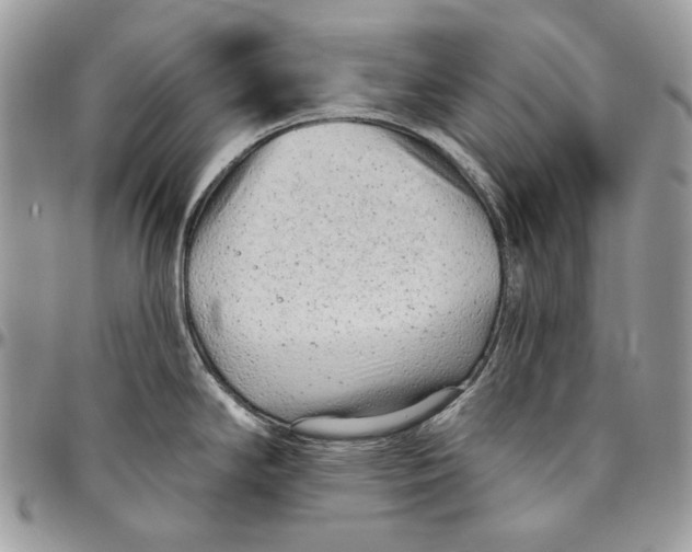 X0000094771294200712071125