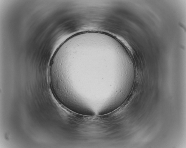 X0000094771295200712071125