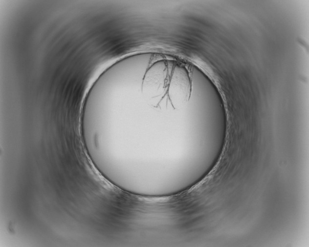 X0000094771296200712071125