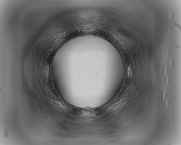 X0000094771299200712071124