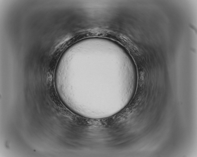 X0000094771302200712071124