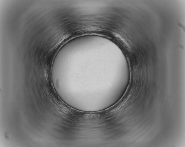 X0000094771305200712071124