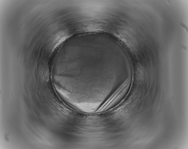 X0000094771306200712071124