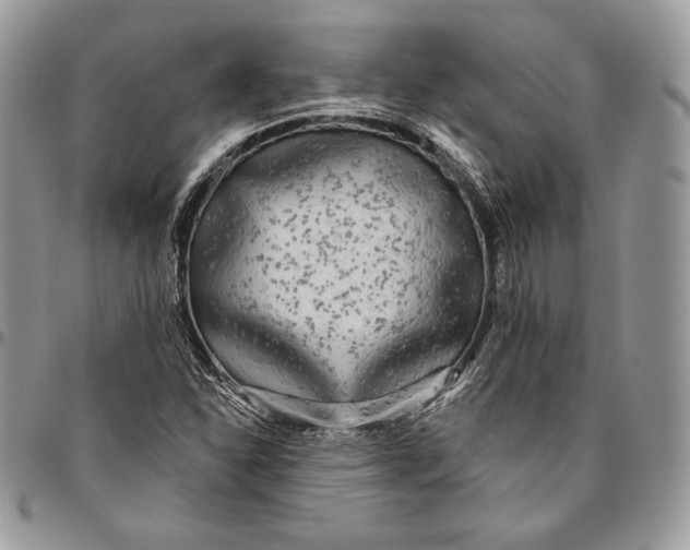 X0000094771310200712071124