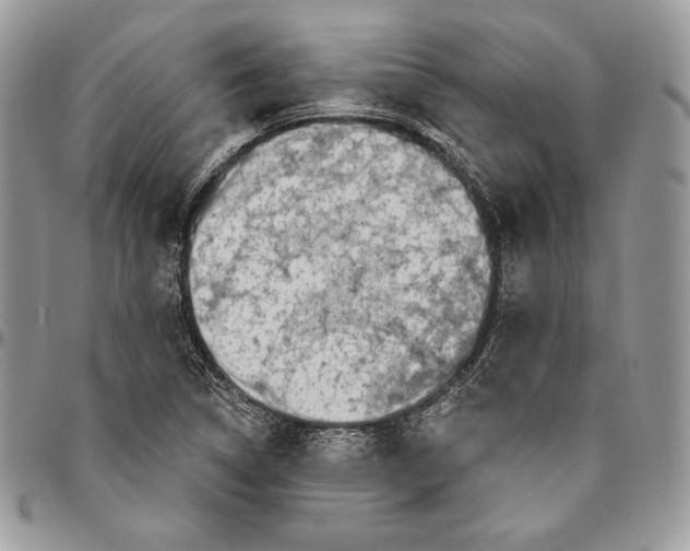 X0000094771314200712071124