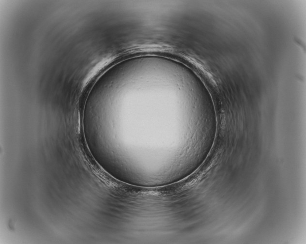 X0000094771317200712071124