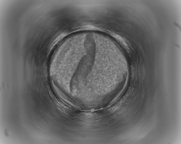 X0000094771318200712071124