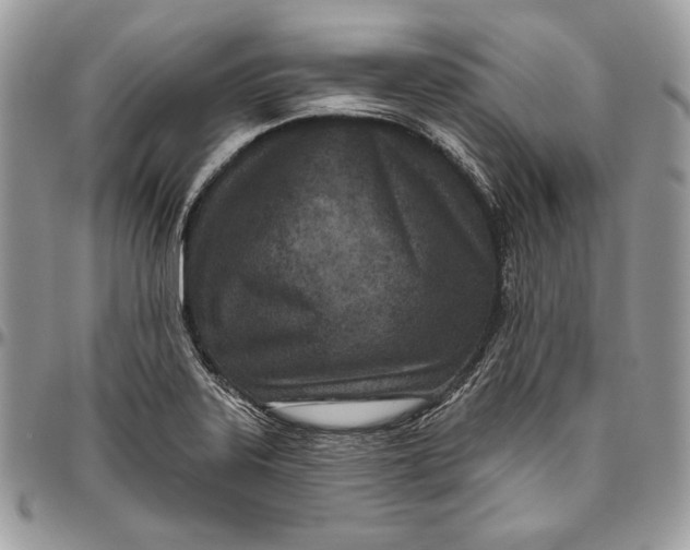 X0000094771323200712071124