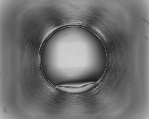 X0000094771324200712071124