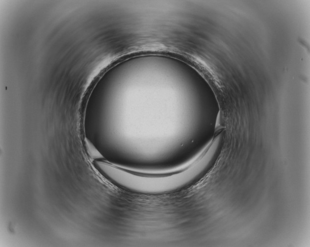 X0000094771326200712071124