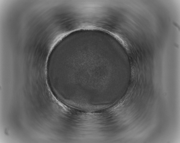 X0000094771327200712071124