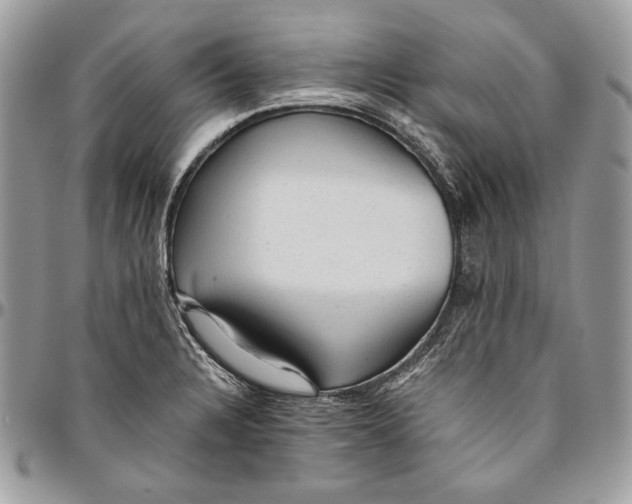 X0000094771328200712071124