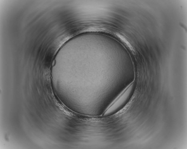 X0000094771329200712071124