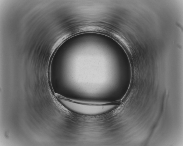 X0000094771330200712071124