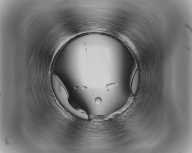 X0000094771332200712071125