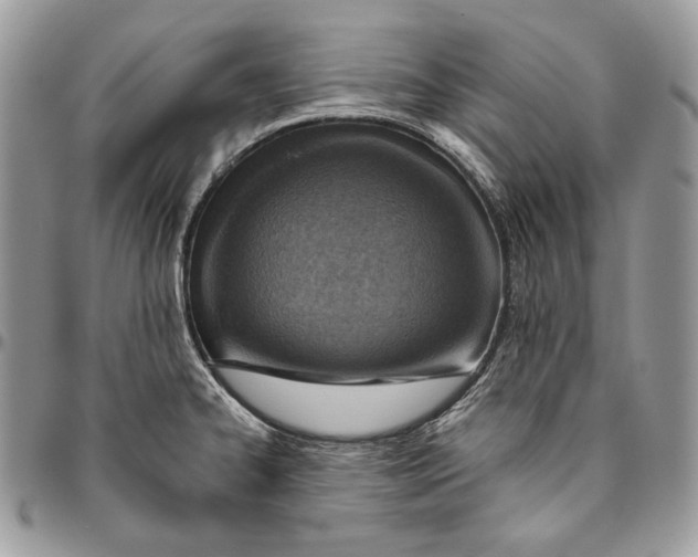 X0000094771334200712071125