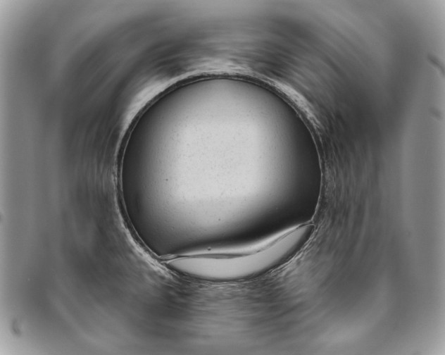 X0000094771335200712071125