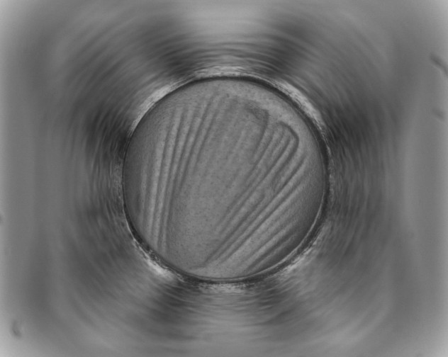 X0000094771337200712071125