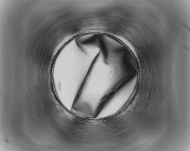 X0000094771341200712071125