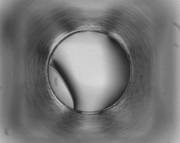 X0000094771344200712071125