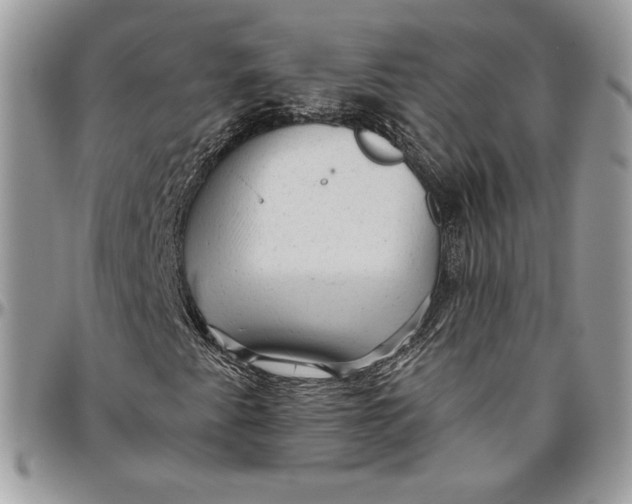 X0000094771345200712071124