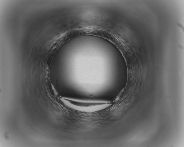 X0000094771349200712071124