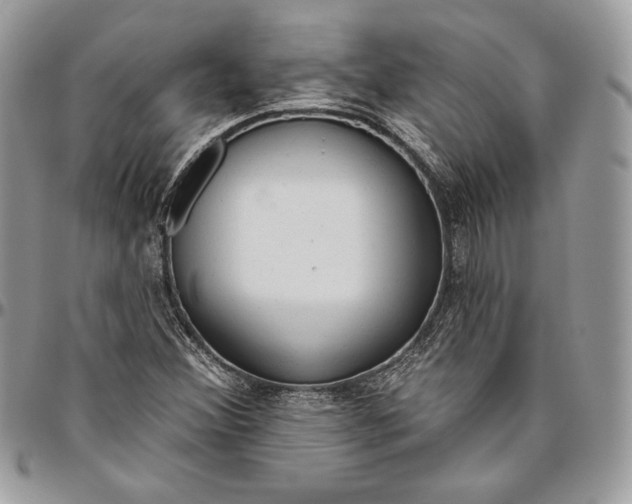 X0000094771356200712071124