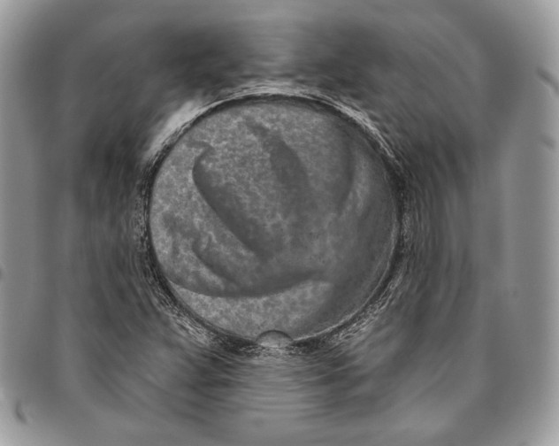 X0000094771359200712071124