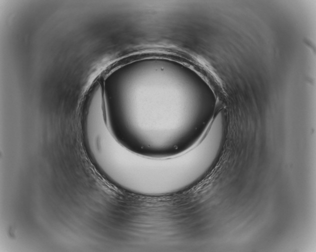 X0000094771360200712071124