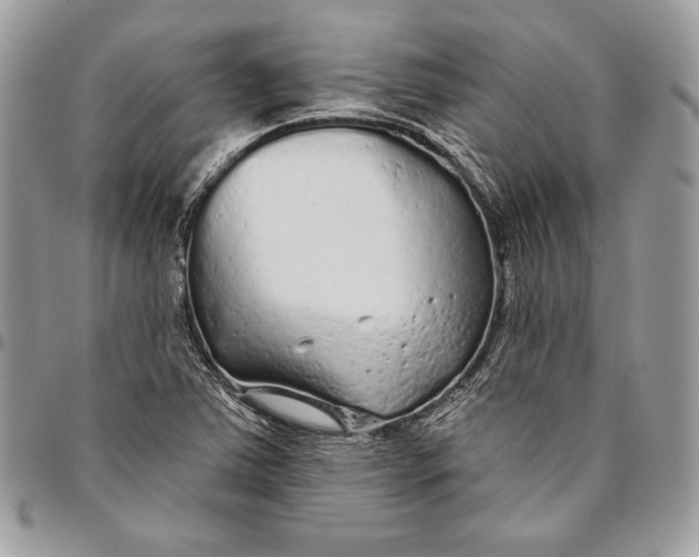 X0000094771363200712071123