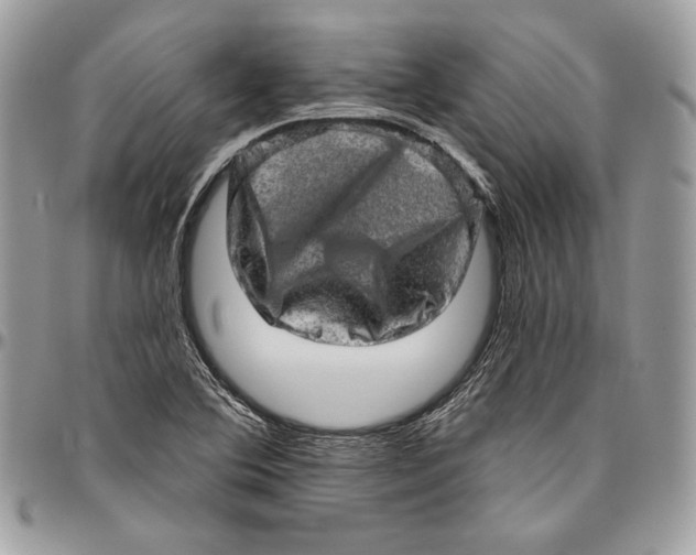 X0000094771364200712071123