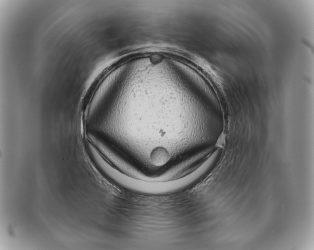 X0000094771368200712071123