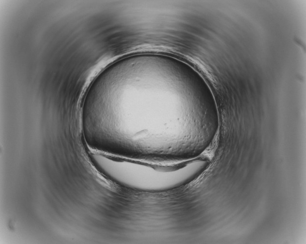 X0000094771371200712071123