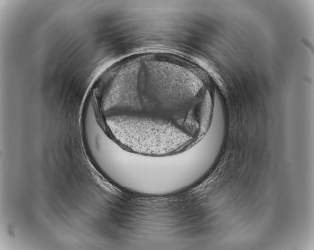 X0000094771372200712071123