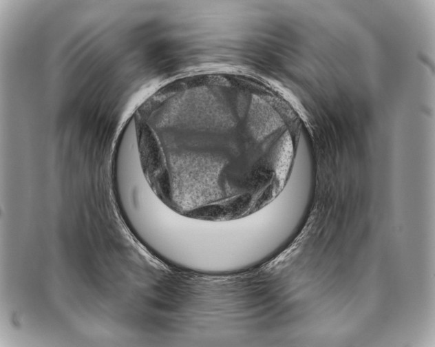 X0000094771373200712071123