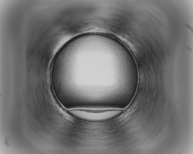 X0000094771375200712071123